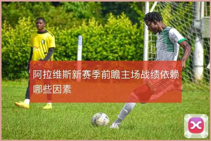 阿拉维斯新赛季前瞻主场战绩依赖哪些因素